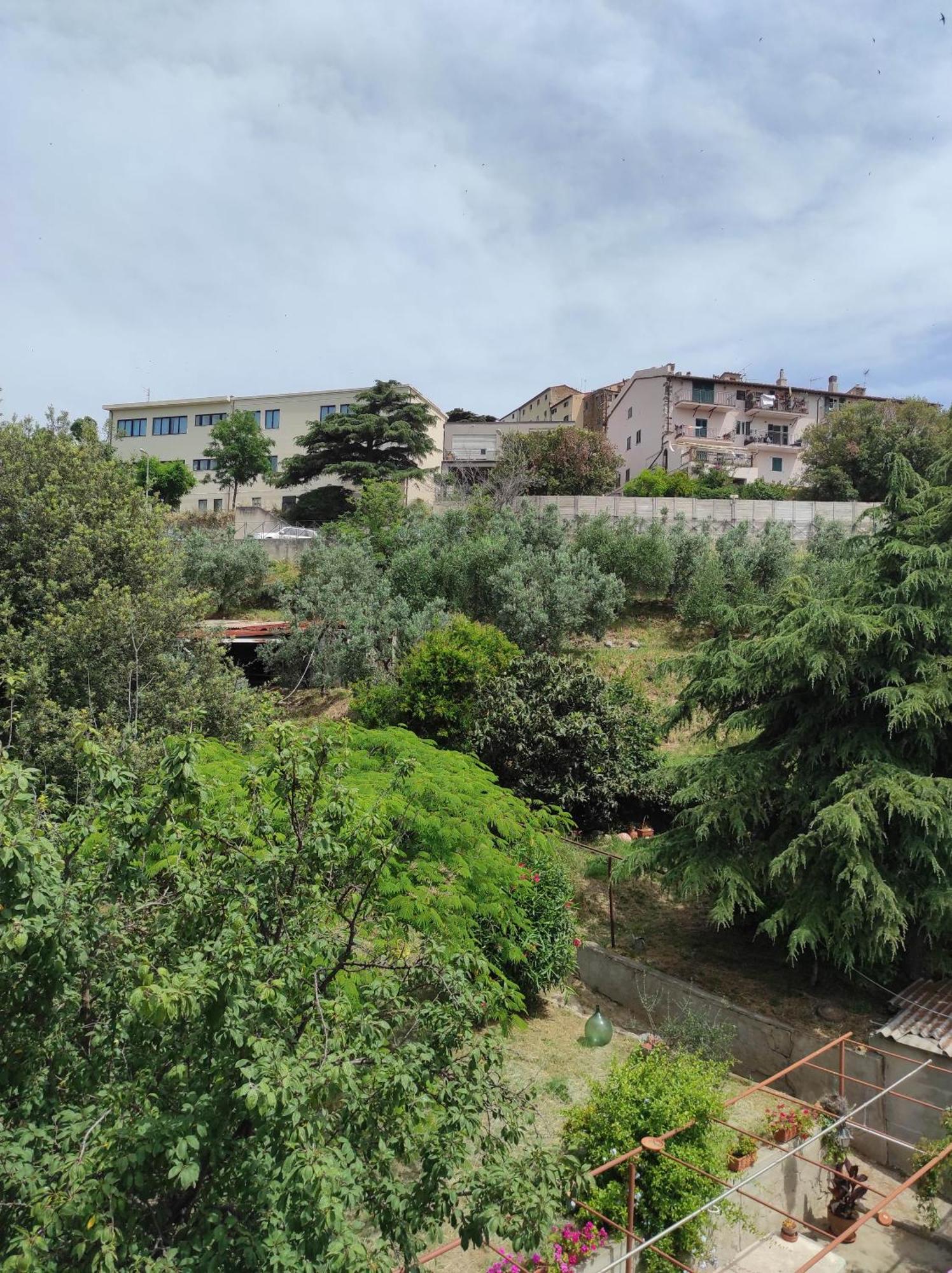 Casa Dei Nonni 57021 Apartment Campiglia Marittima Luaran gambar